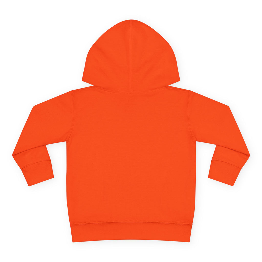 Toddler Hoodie — "You Owe Me Until I Am 21" Colorful Birthday Pullover
