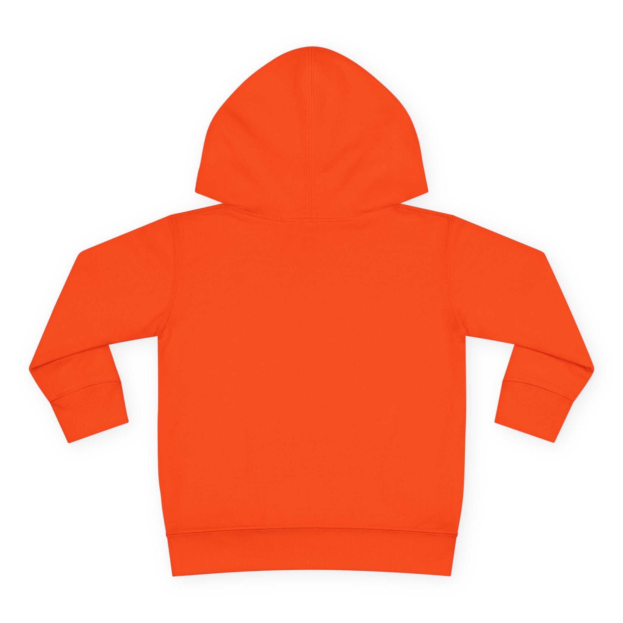 Toddler Hoodie — "You Owe Me Until I Am 21" Colorful Birthday Pullover