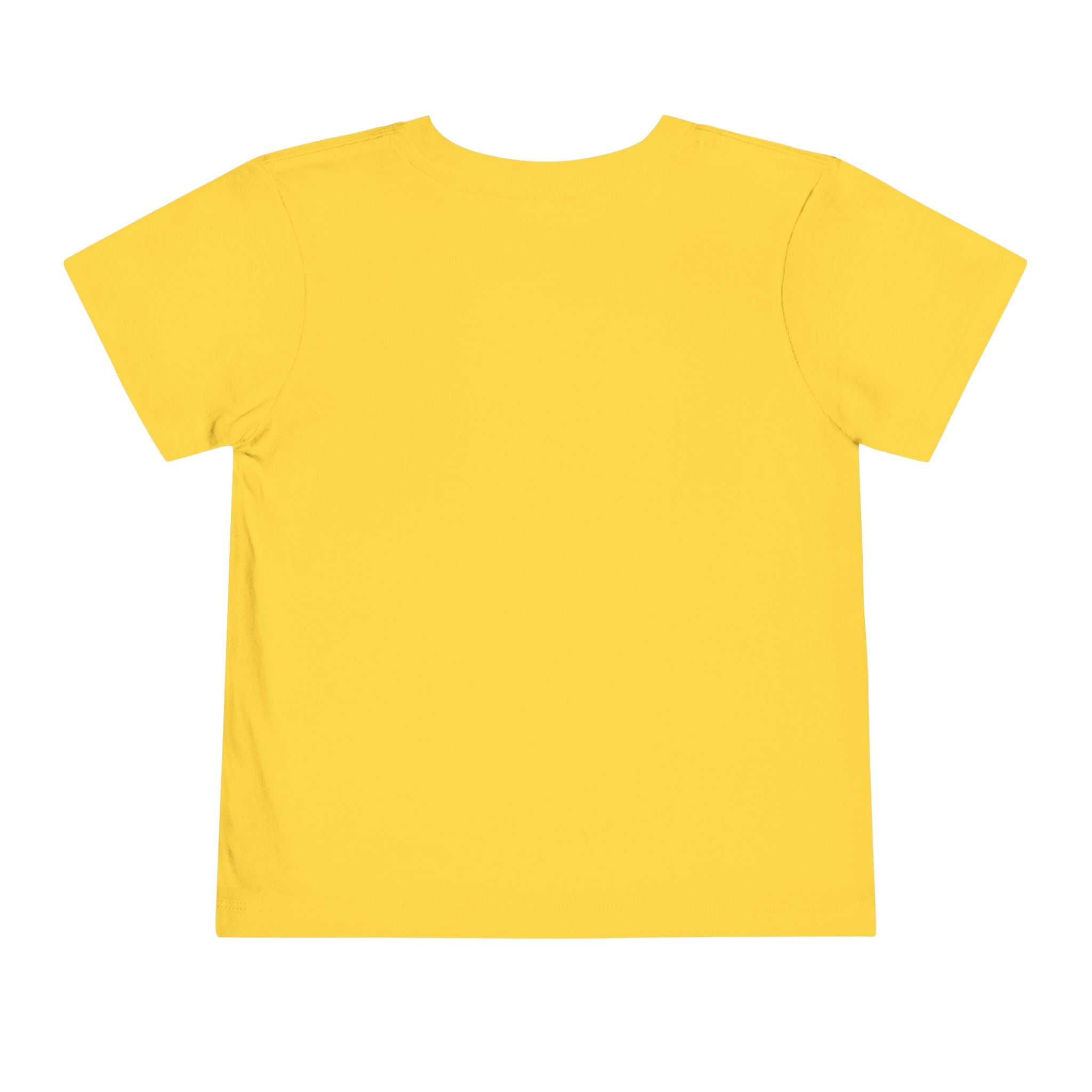 Toddler Tee – "You Owe Me Until I Am 21" Colorful Kids Birthday Shirt