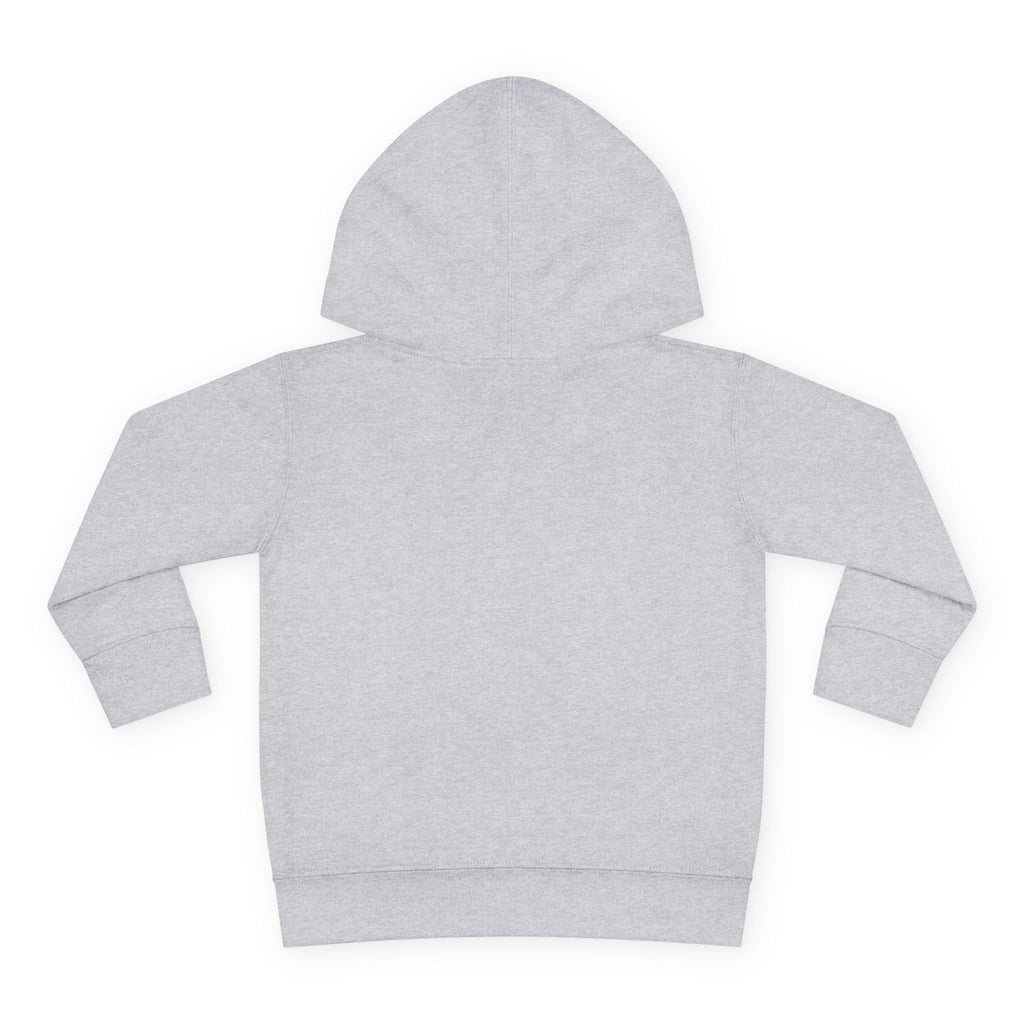 Toddler Hoodie — "You Owe Me Until I Am 21" Colorful Birthday Pullover