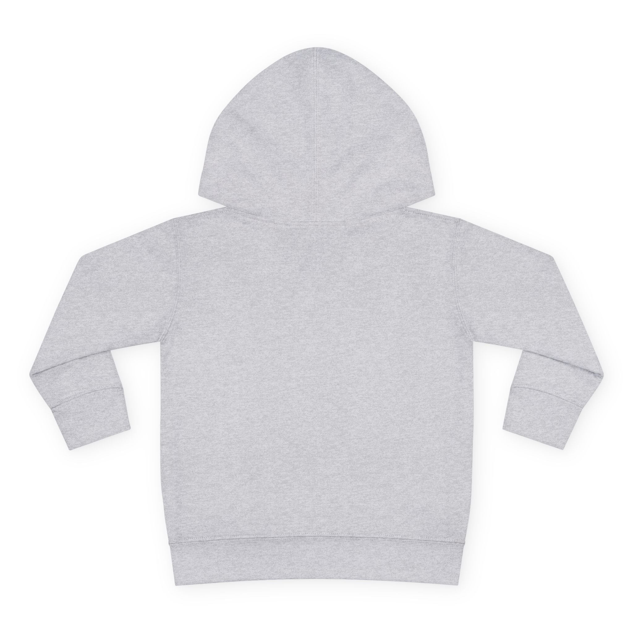Toddler Hoodie — "You Owe Me Until I Am 21" Colorful Birthday Pullover