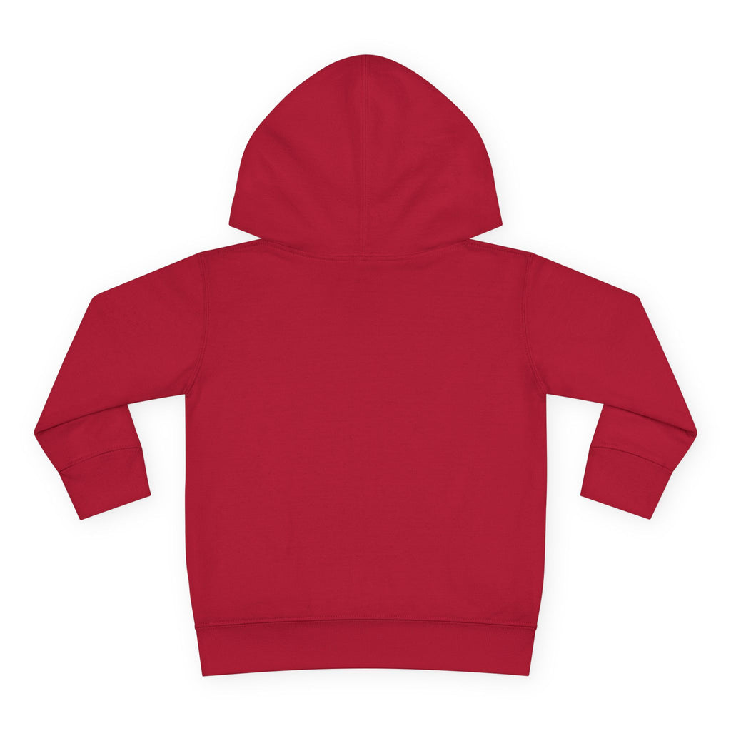 Toddler Hoodie — "You Owe Me Until I Am 21" Colorful Birthday Pullover