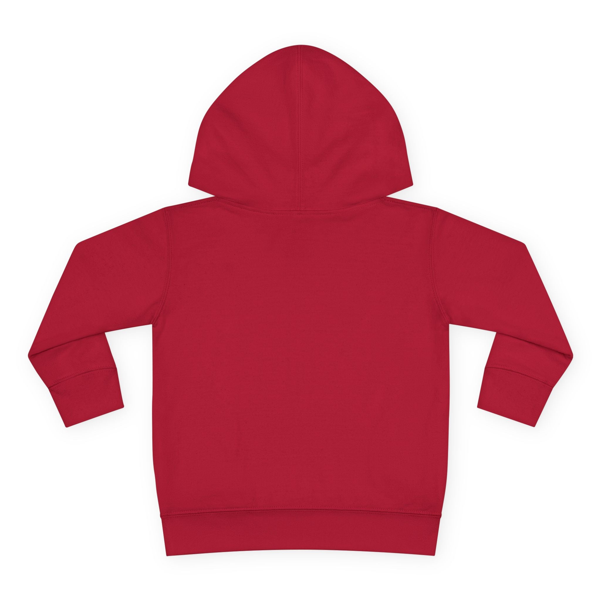 Toddler Hoodie — "You Owe Me Until I Am 21" Colorful Birthday Pullover