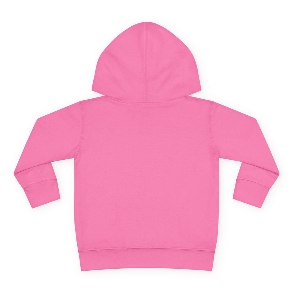 Toddler Hoodie — "You Owe Me Until I Am 21" Colorful Birthday Pullover