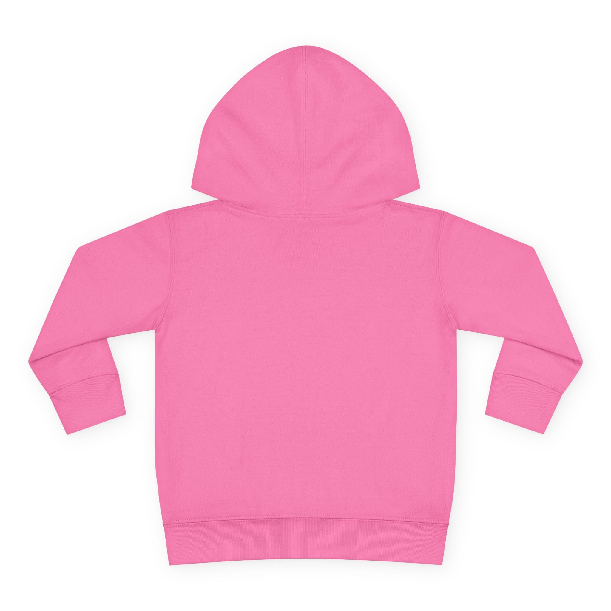 Toddler Hoodie — "You Owe Me Until I Am 21" Colorful Birthday Pullover