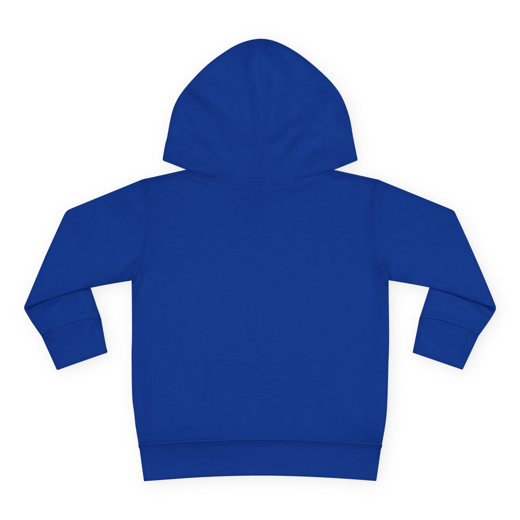 Toddler Hoodie — "You Owe Me Until I Am 21" Colorful Birthday Pullover