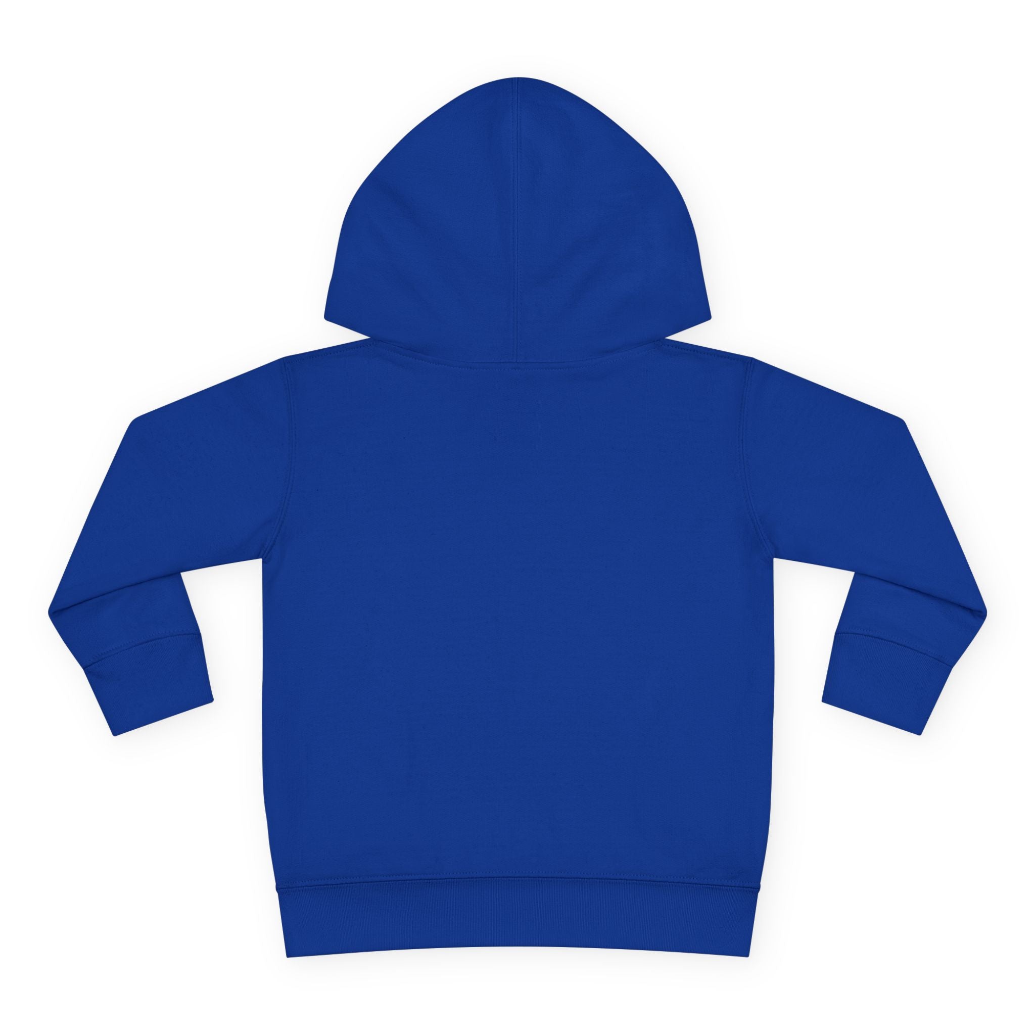 Toddler Hoodie — "You Owe Me Until I Am 21" Colorful Birthday Pullover