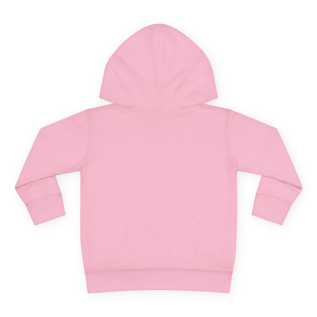 Toddler Hoodie — "You Owe Me Until I Am 21" Colorful Birthday Pullover