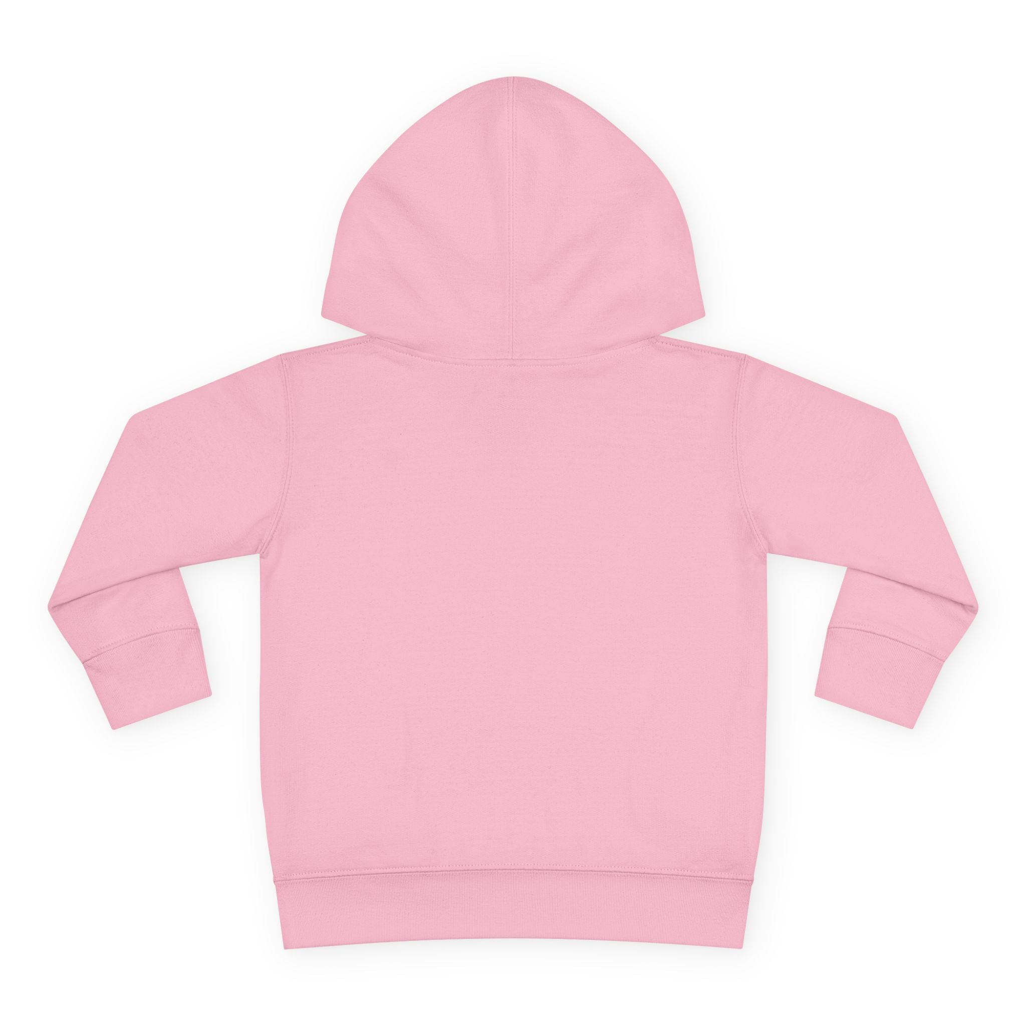 Toddler Hoodie — "You Owe Me Until I Am 21" Colorful Birthday Pullover