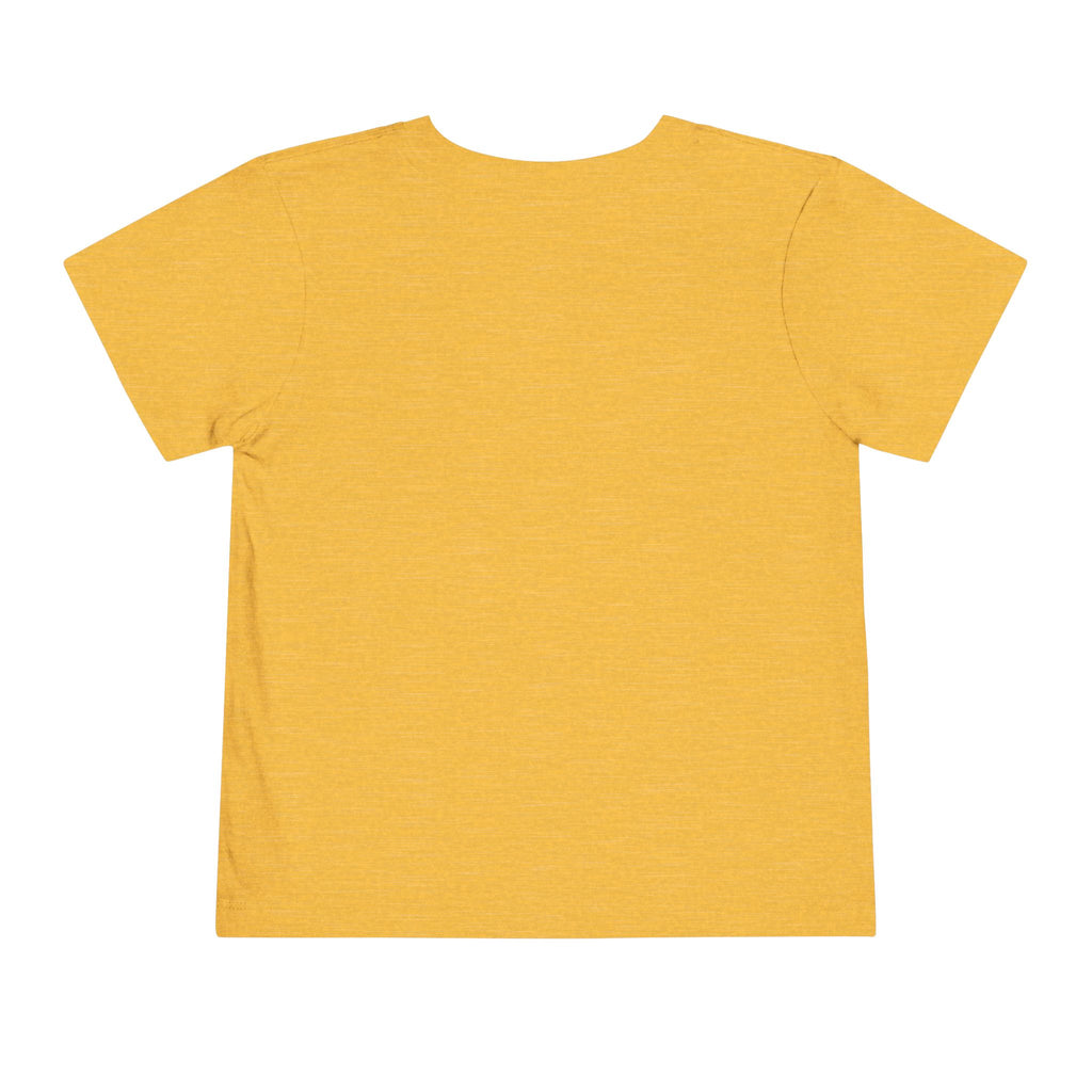 Toddler Tee – "You Owe Me Until I Am 21" Colorful Kids Birthday Shirt