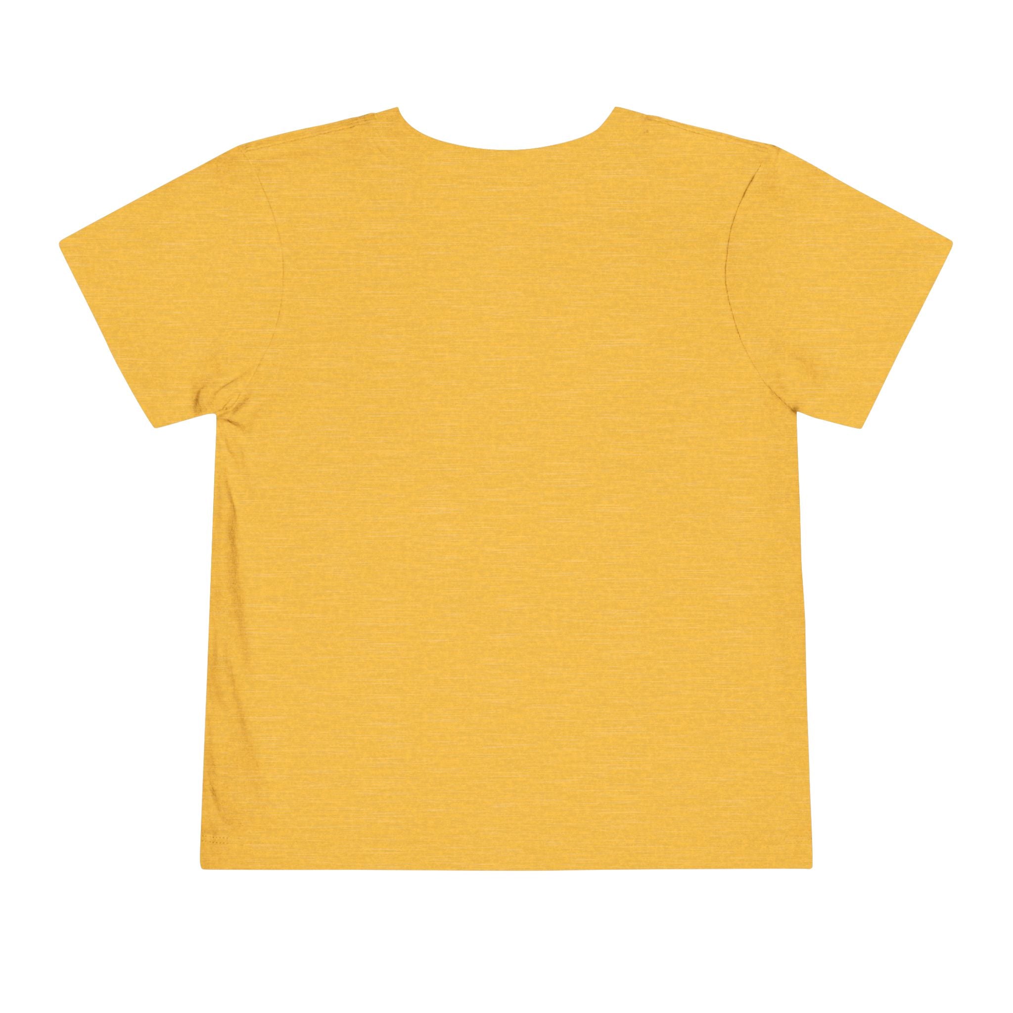 Toddler Tee – "You Owe Me Until I Am 21" Colorful Kids Birthday Shirt