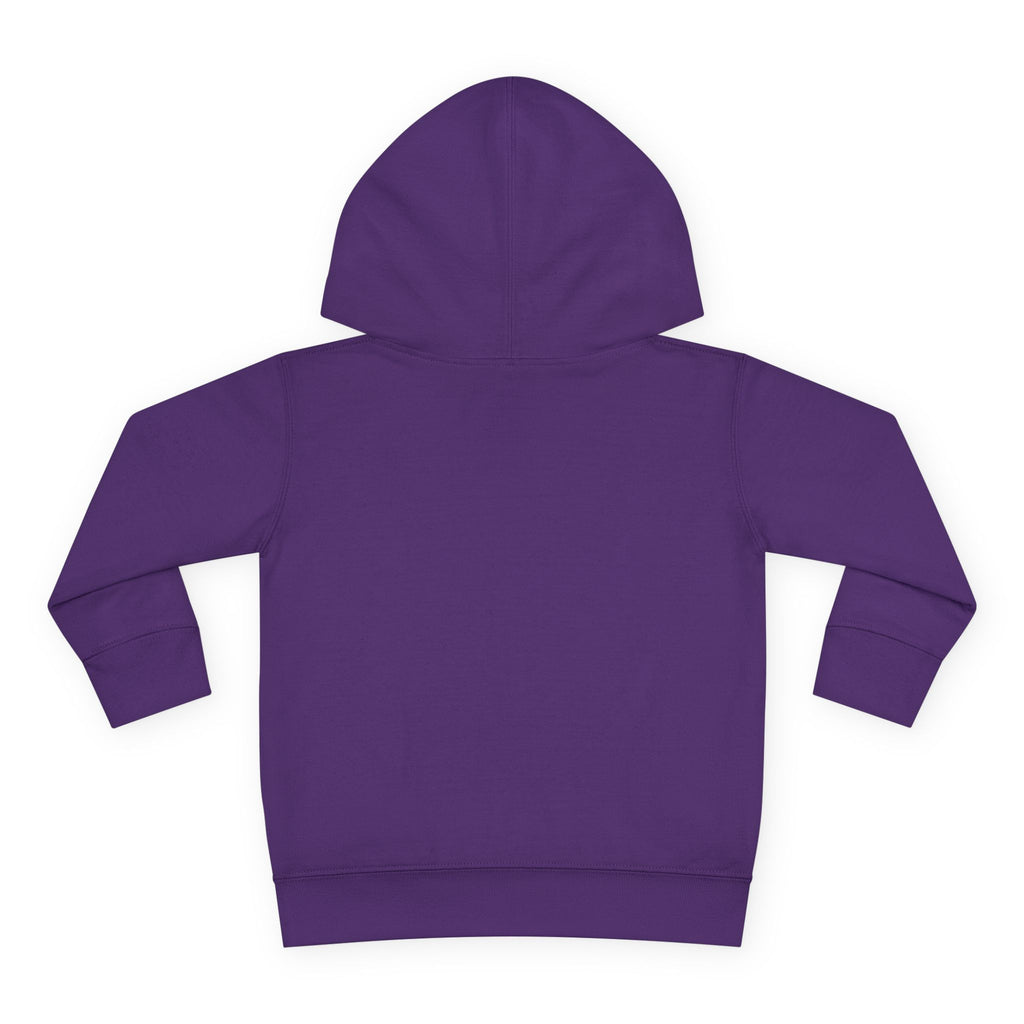 Toddler Hoodie — "You Owe Me Until I Am 21" Colorful Birthday Pullover