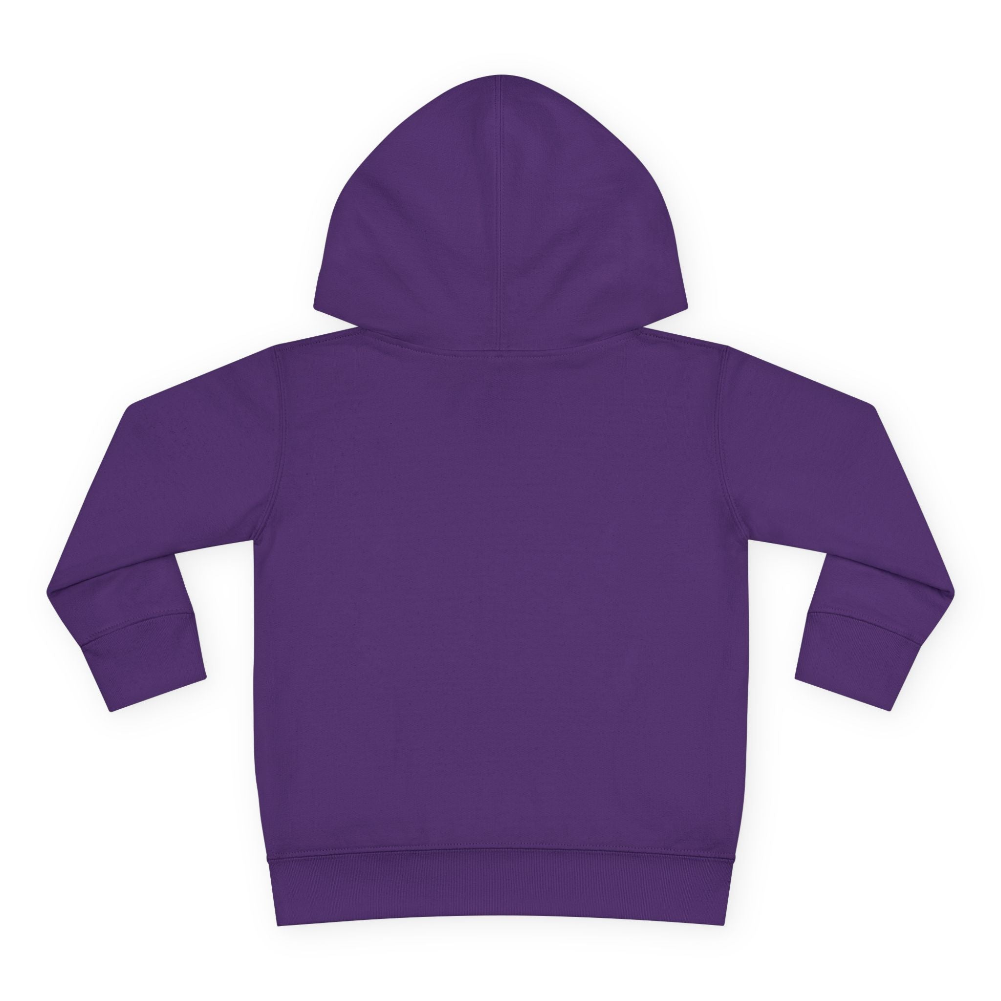 Toddler Hoodie — "You Owe Me Until I Am 21" Colorful Birthday Pullover