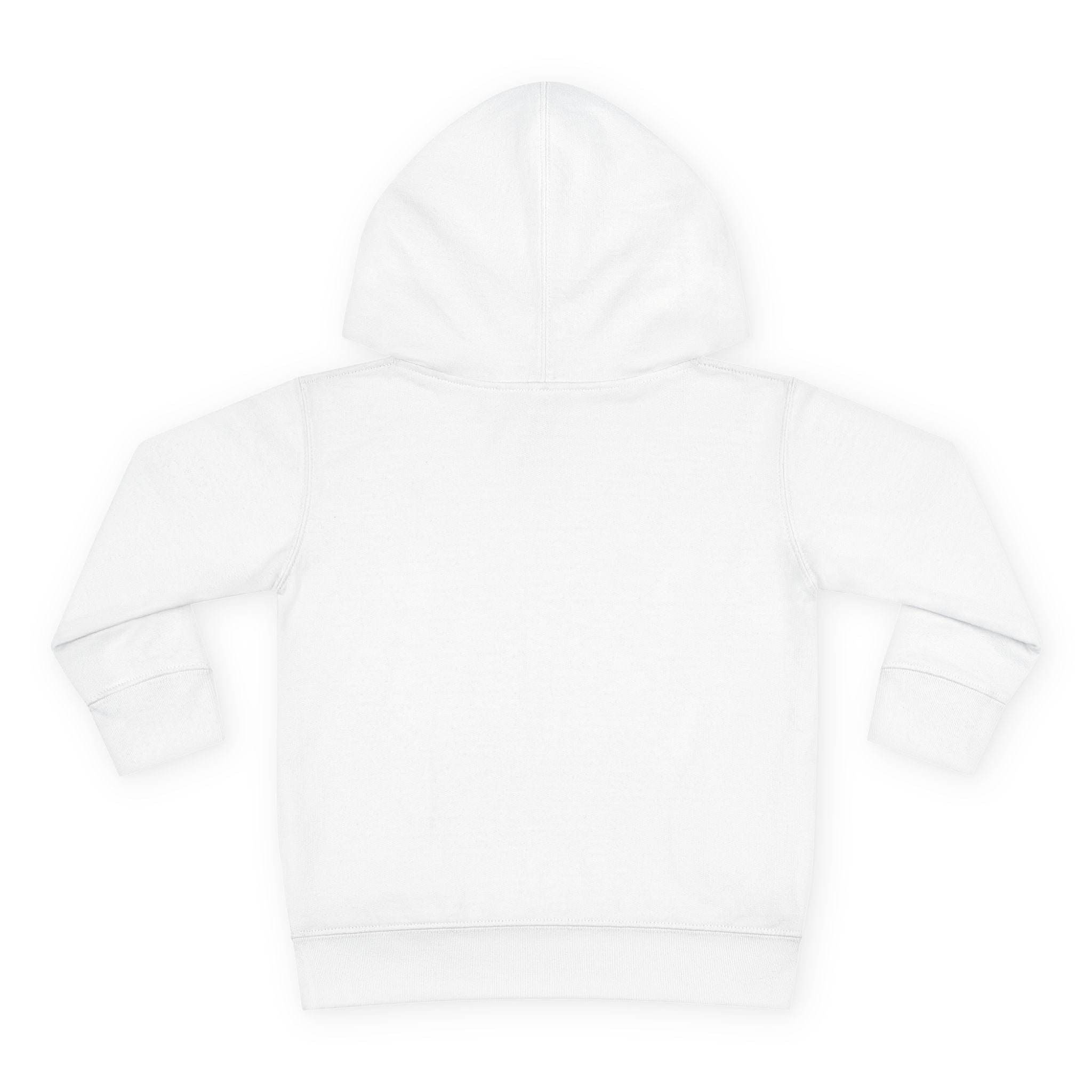 Toddler Hoodie — "You Owe Me Until I Am 21" Colorful Birthday Pullover