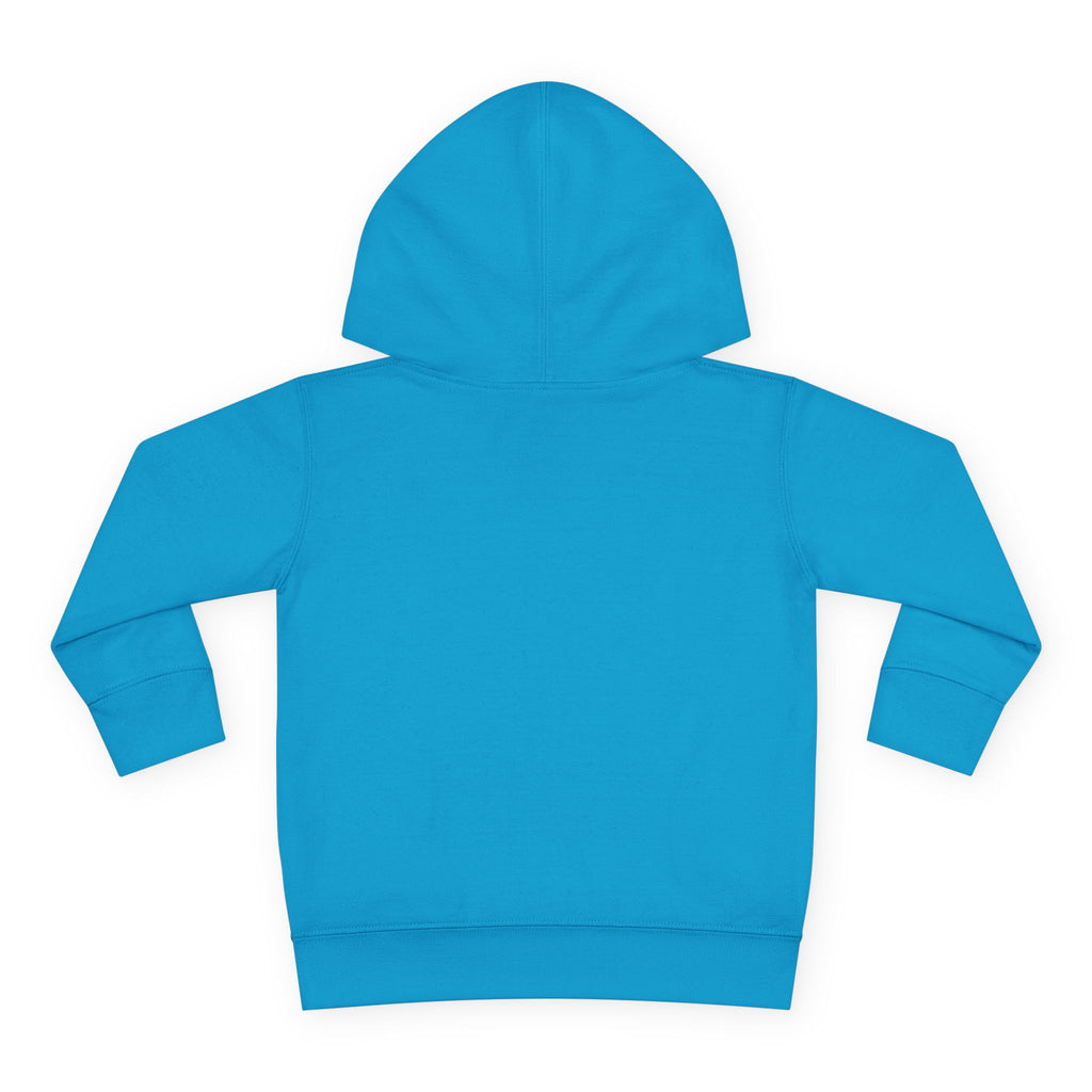 Toddler Hoodie — "You Owe Me Until I Am 21" Colorful Birthday Pullover