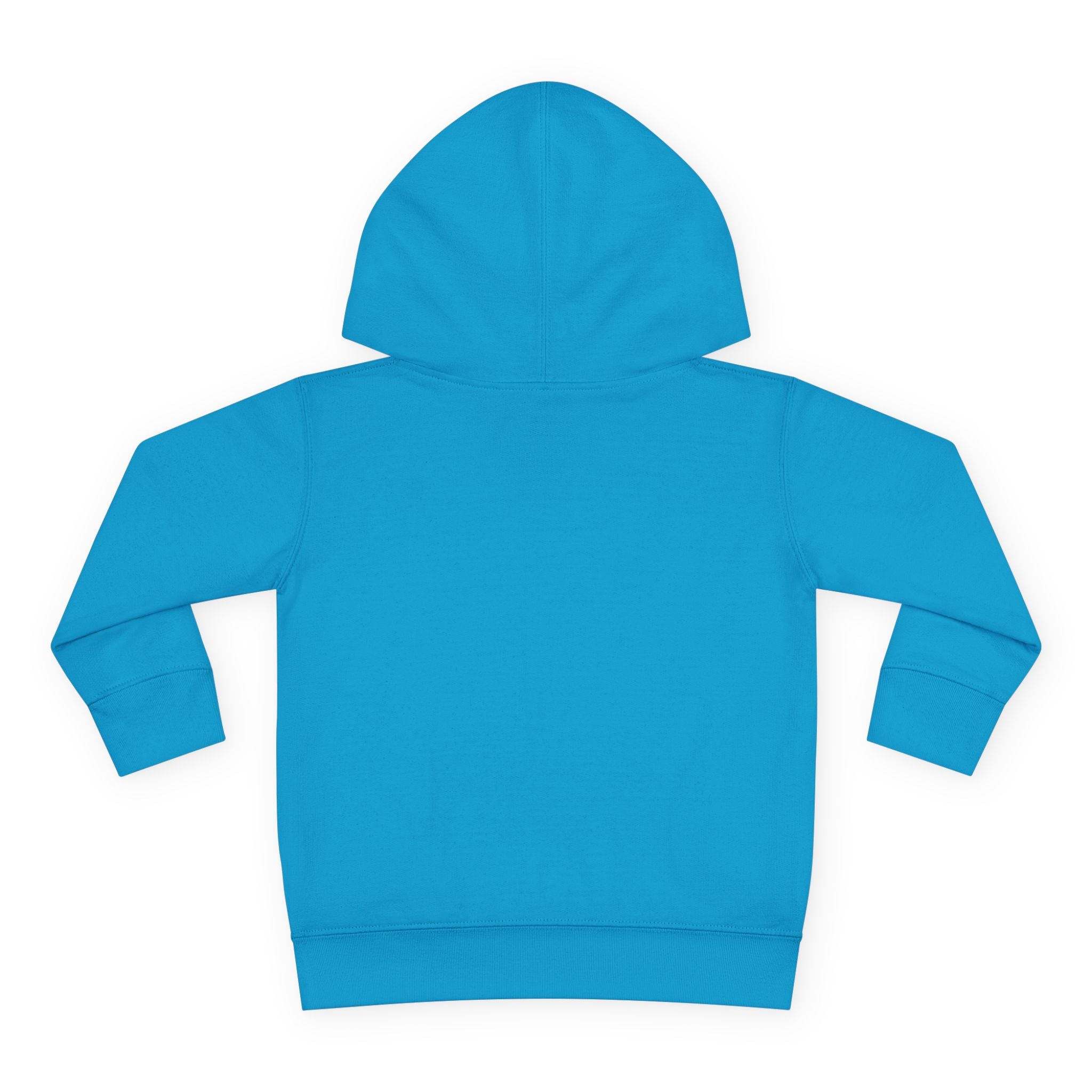 Toddler Hoodie — "You Owe Me Until I Am 21" Colorful Birthday Pullover