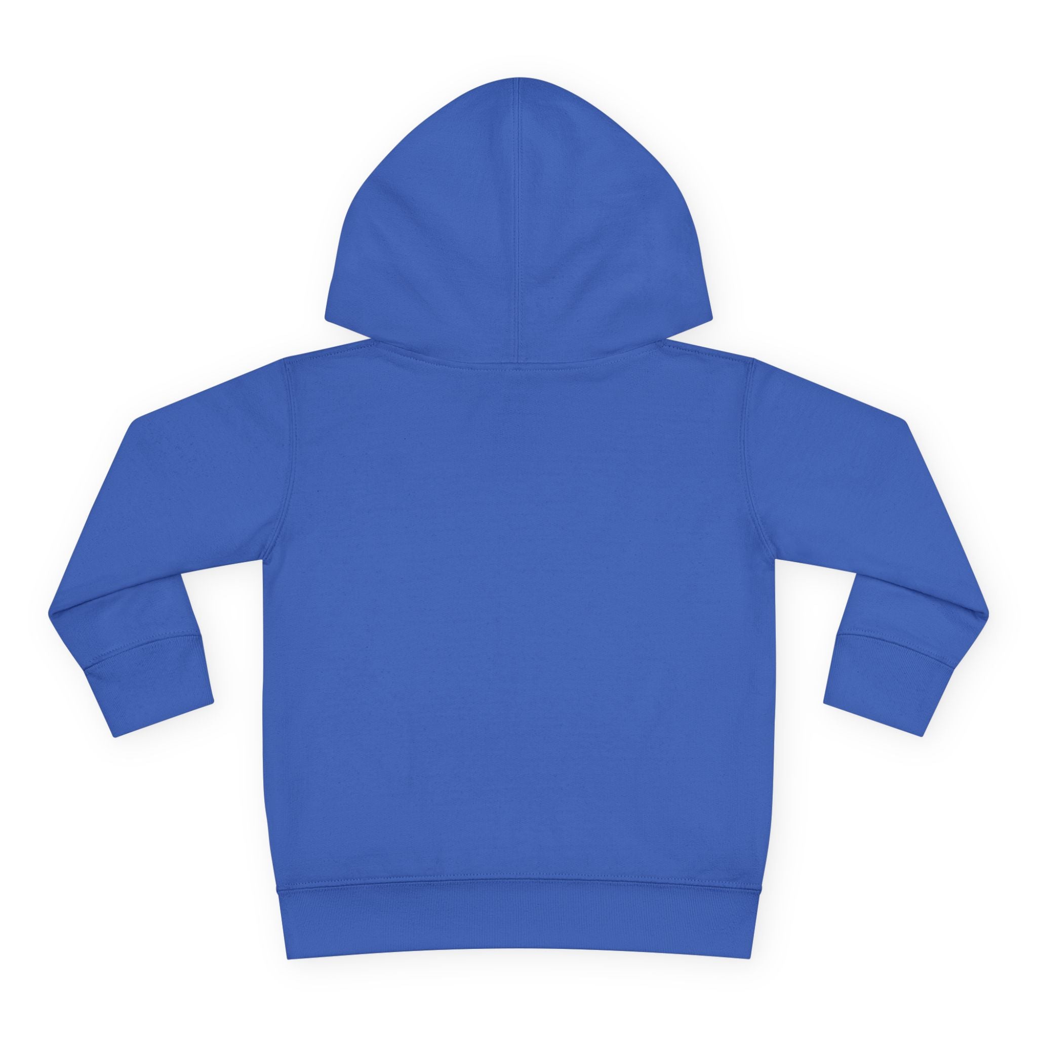 Toddler Hoodie — "You Owe Me Until I Am 21" Colorful Birthday Pullover