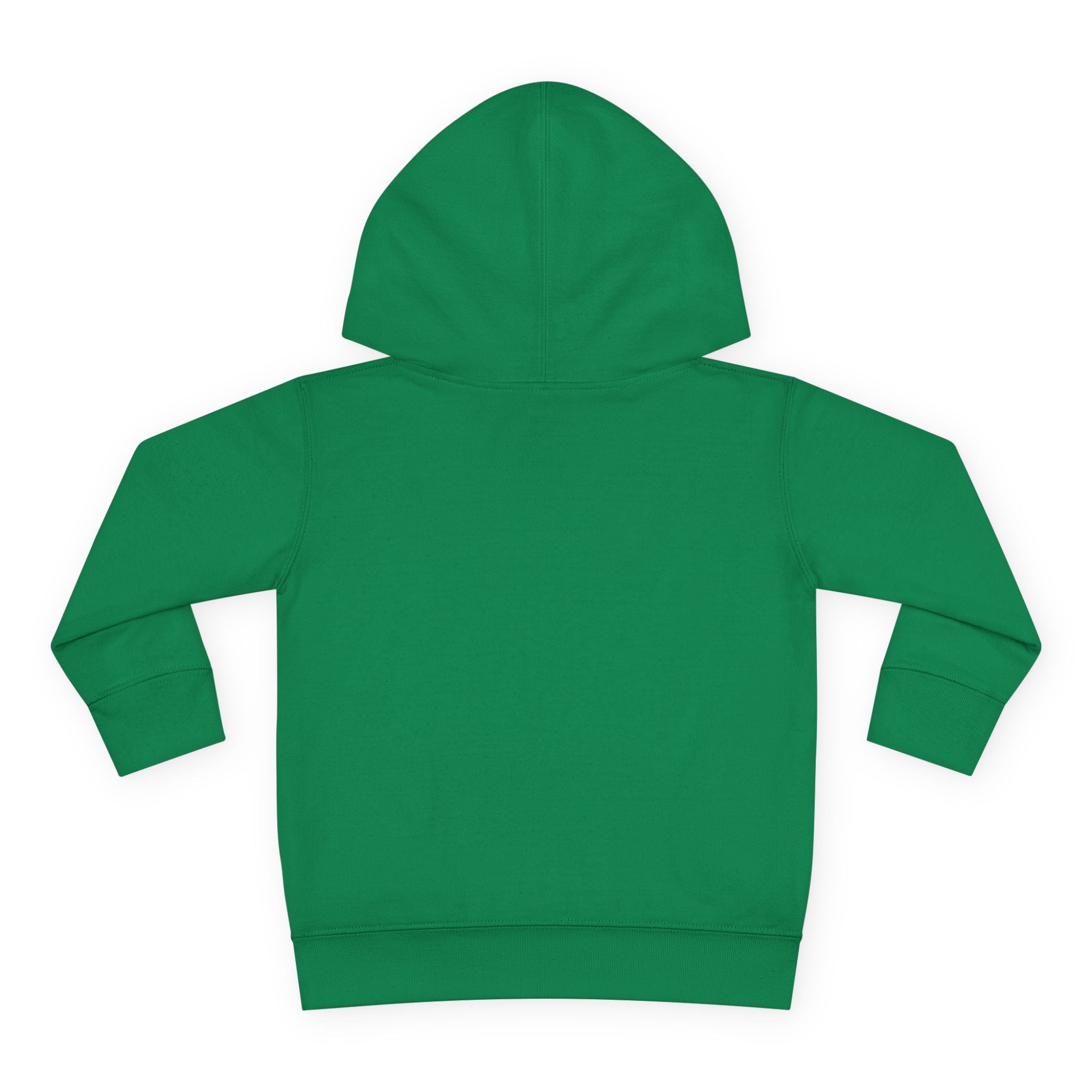 Toddler Hoodie — "You Owe Me Until I Am 21" Colorful Birthday Pullover