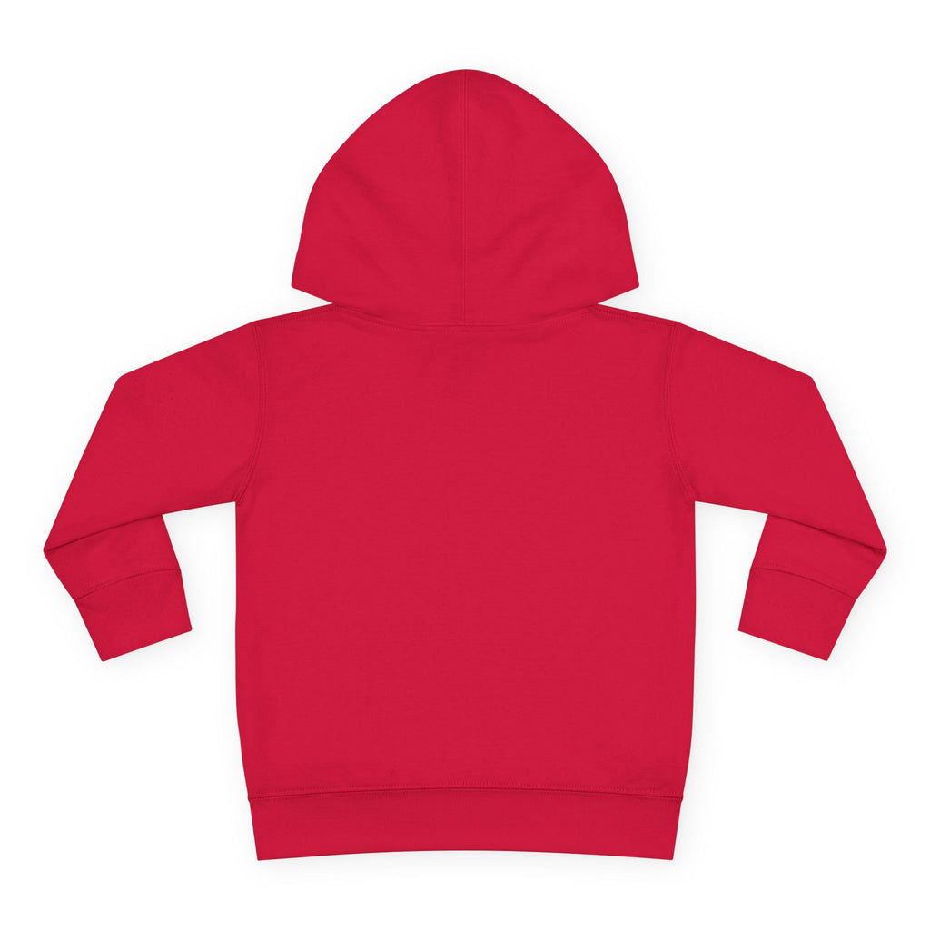 Toddler Hoodie — "You Owe Me Until I Am 21" Colorful Birthday Pullover